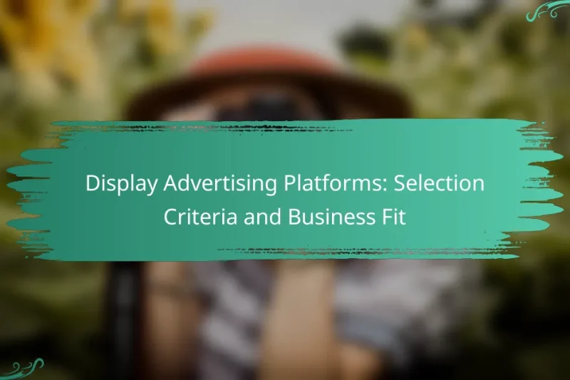 Display Advertising Platforms: Selection Criteria and Business Fit
