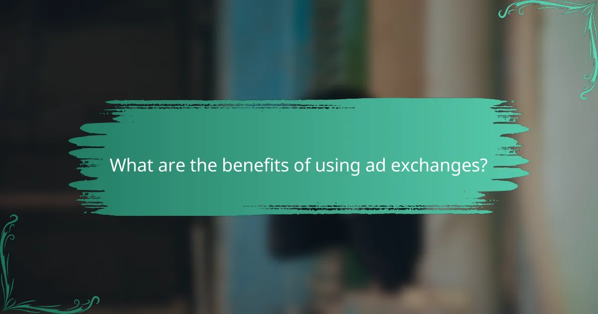 What are the benefits of using ad exchanges?