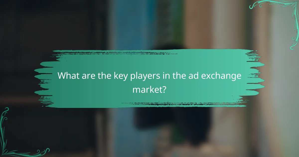 What are the key players in the ad exchange market?