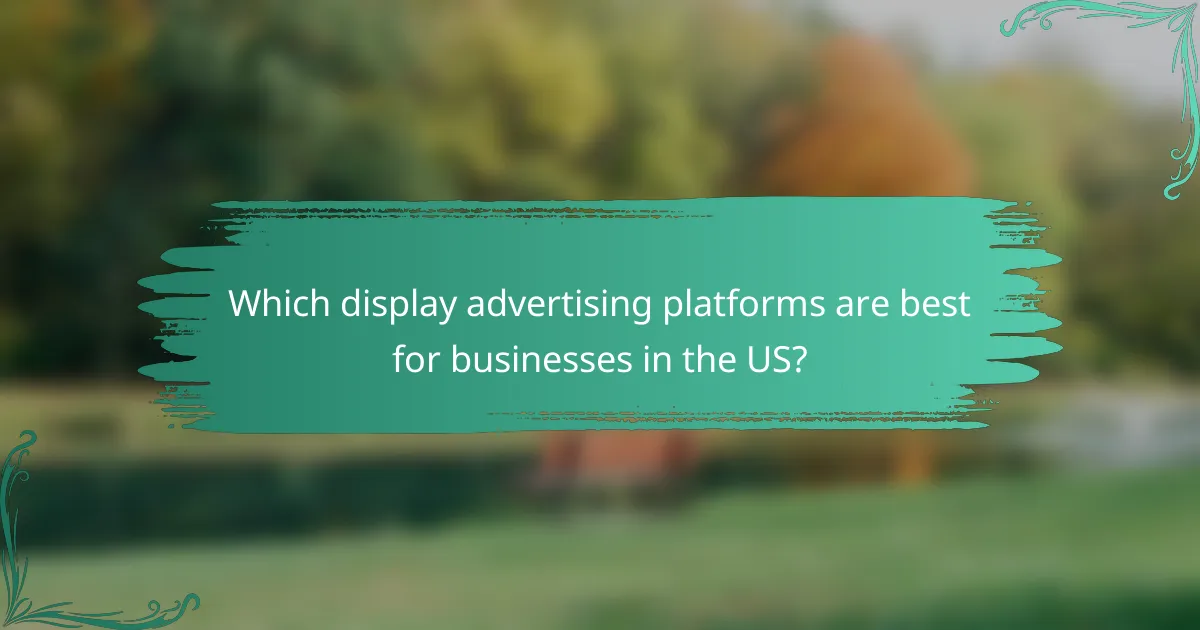 Which display advertising platforms are best for businesses in the US?